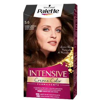 Tendências Verão 2024 Palette