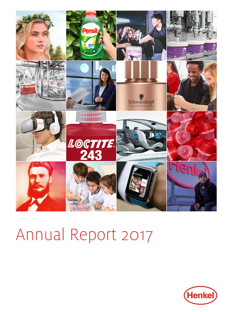 Relatório Anual 2017 (Capa)
